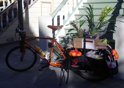 Sport Utility Bike loaded with fresh veggies